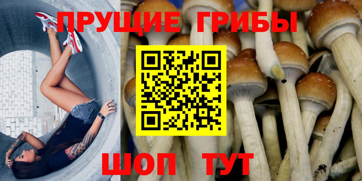 Псилоцибиновые грибы прущие грибы  Псилоцибиновые грибы GOLDEN TEACHER  Вход с VPN  Алатырь 