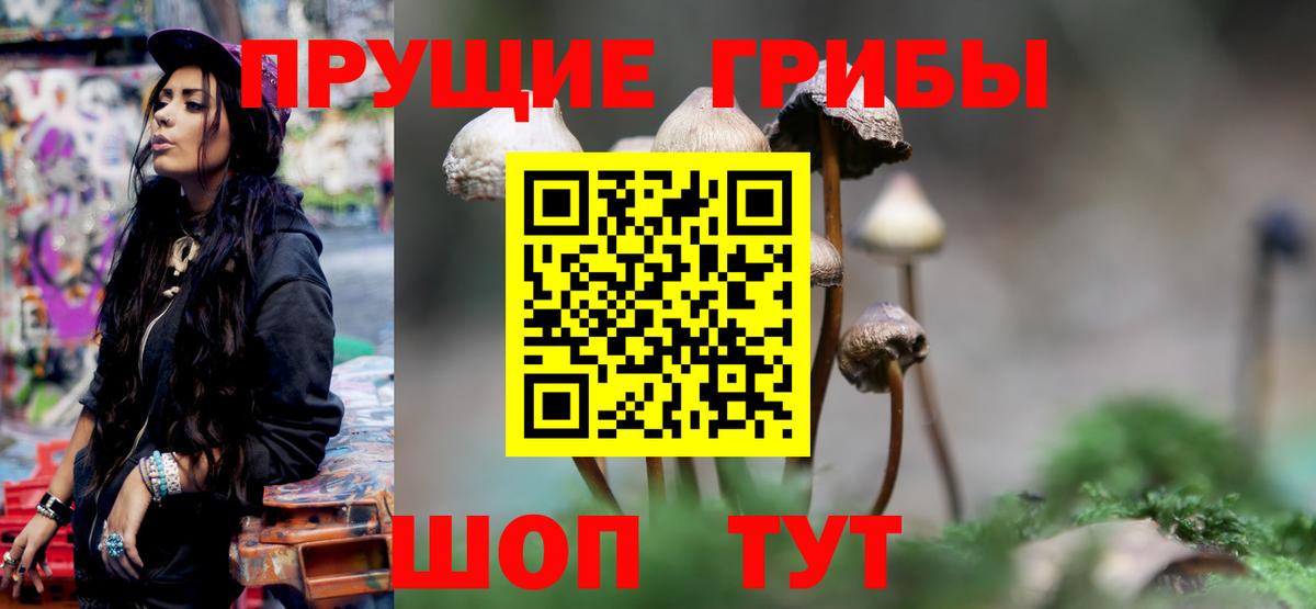 Галлюциногенные грибы Magic Shrooms Алатырь